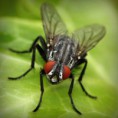 /album/hiresegek-blogja/photolia-a01-jpg/