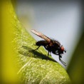 /album/hiresegek-blogja/photolia-a04-jpg/