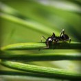 /album/hiresegek-blogja/photolia-a05-jpg/