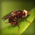 /album/hiresegek-blogja/photolia-a06-jpg/