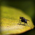 /album/hiresegek-blogja/photolia-a07-jpg/