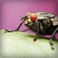 /album/hiresegek-blogja/photolia-a08-jpg/